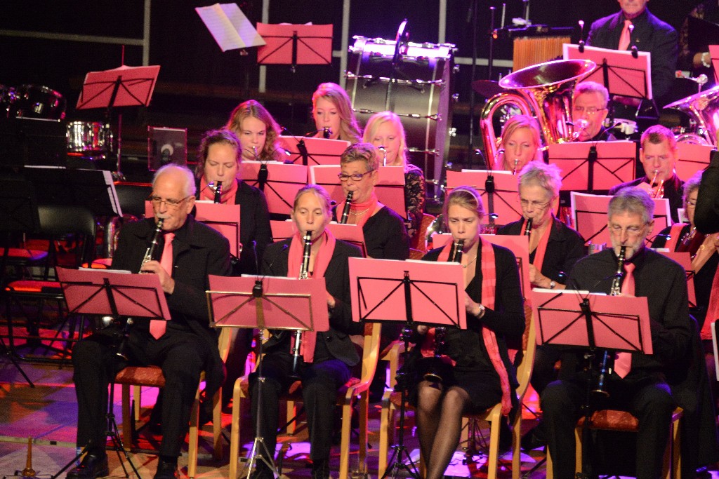 ../Images/Jubileumconcert 100 jaar Harpe Davids 115.jpg